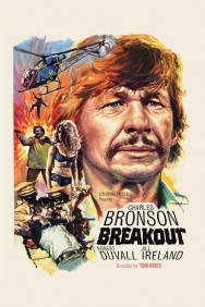 Stream Breakout in Full HD for Free on MoviesJoy