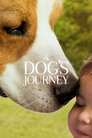 Watch Free A Dog's Journey Movies HD Online FMovies Alternatives site