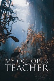 Watch Free My Octopus Teacher Movies HD Online FMovies Alternatives site