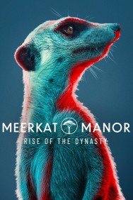 Watch free Meerkat Manor: Rise of the Dynasty movies online on on MoviesJoy Alternatives site