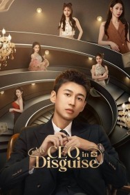 My CEO in Disguise Watch Free My CEO in Disguise Movies HD Online HDToday