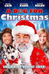 Stream A Dog for Christmas Movies in HD Free on MoviesJoy