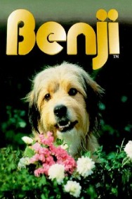 Watch Free Benji Movies HD Online FMovies Alternatives site