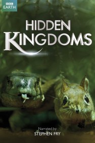 Watch free Hidden Kingdoms movies online on on MoviesJoy Alternatives site