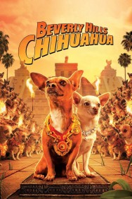 Stream Beverly Hills Chihuahua in Full HD for Free on MoviesJoy