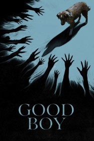 Watch free Good Boy movies online on on HDToday site