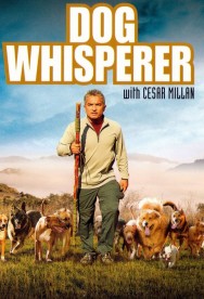 Stream Dog Whisperer Movies in HD Free on MoviesJoy