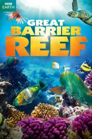 Stream Great Barrier Reef Movies in HD Free on MoviesJoy