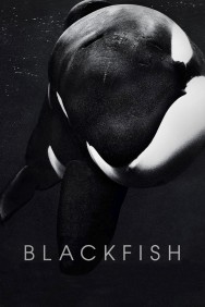 Watch free Blackfish movies online on on MoviesJoy Alternatives site