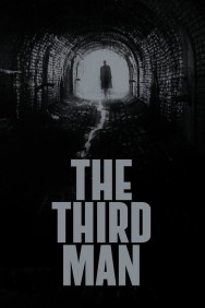 Watch free The Third Man movies online on on MoviesJoy Alternatives site