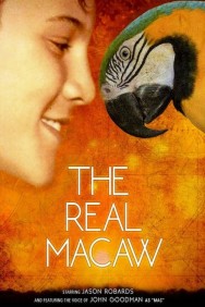 Watch free The Real Macaw movies online on on MoviesJoy Alternatives site