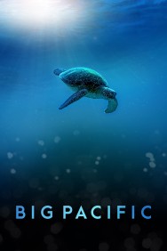 Watch free Big Pacific movies online on on MoviesJoy Alternatives site