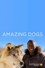 Watch Free Amazing Dogs Movies HD Online FMovies Alternatives site