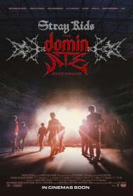 titta-Stray Kids: The dominATE Experience