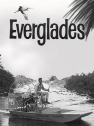 Watch free Everglades movies online on on MoviesJoy Alternatives site