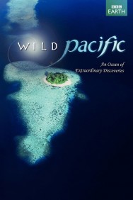 Stream South Pacific Movies in HD Free on MoviesJoy