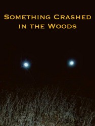 Stream Something Crashed in the Woods Movies in HD Free on MoviesJoy