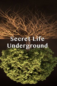 Stream Secret Life Underground Movies in HD Free on MoviesJoy