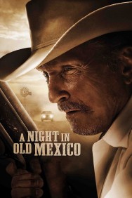 Watch Free A Night in Old Mexico Movies HD Online FMovies Alternatives site