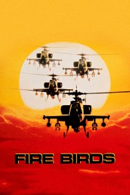 Stream Fire Birds in Full HD for Free on MoviesJoy