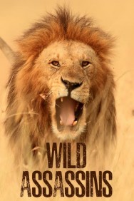 Stream Wild Assassins Movies in HD Free on MoviesJoy