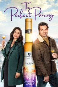 Watch Free The Perfect Pairing Movies HD Online FMovies Alternatives site