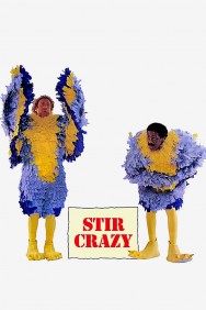 Stream Stir Crazy Movies in HD Free on MoviesJoy