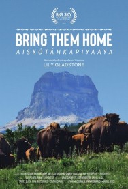 Bring Them Home Watch Free Bring Them Home Movies Full HD Online
