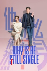 Watch Why is He Still Single? movies free MoviesJoy