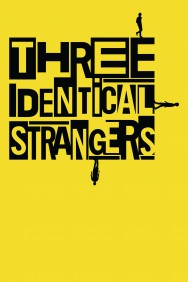 Stream Three Identical Strangers Movies in HD Free on MoviesJoy