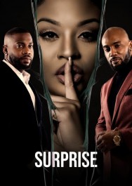 Watch Free Surprise Movies HD Online M4uHD