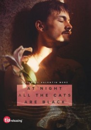 Watch free At Night All the Cats Are Black movies online on on MoviesJoy Alternatives site