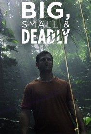 Watch free Big Small and Deadly movies online on on MoviesJoy Alternatives site