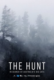 Watch The Hunt: In Search of Australia's Big Cats movies free on MoviesJoy