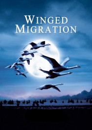 Stream Winged Migration in Full HD for Free on MoviesJoy