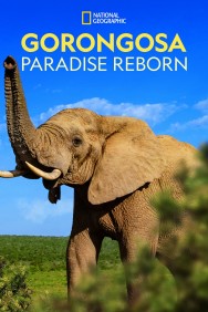 Stream Gorongosa: Paradise Reborn in Full HD for Free on MoviesJoy