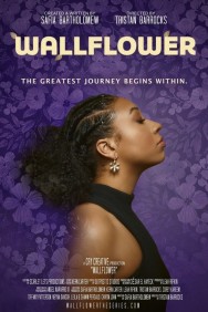 Wallflower Watch Free Wallflower Movies HD Online HDToday