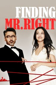 Watch free Finding Mr. Right movies online on on MoviesJoy Alternatives site