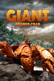 Stream The Giant Robber Crab in Full HD for Free on MoviesJoy