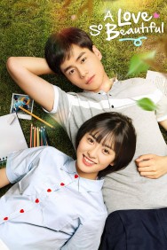 Stream A Love So Beautiful in Full HD for Free on MoviesJoy