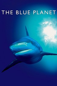 Stream The Blue Planet Movies in HD Free on MoviesJoy