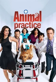 Stream Free Animal Practice Movies in HD Online | MovieJoy