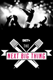 Watch Free The Next Big Thing Movies HD Online FMovies Alternatives site