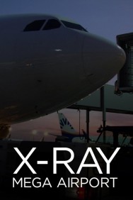 X-Ray Mega Airport watch X-Ray Mega Airport movies free online Putlocker