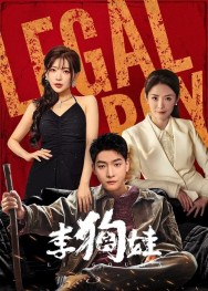 Stream Legal Boy in Full HD for Free on MoviesJoy