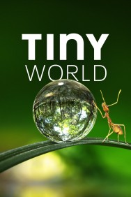 Stream Tiny World in Full HD for Free on MoviesJoy