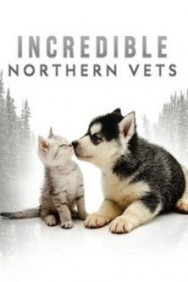 Watch Incredible Northern Vets movies free on MoviesJoy