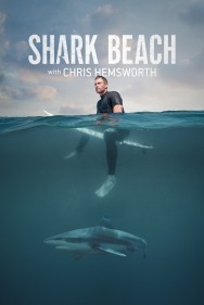 Stream Shark Beach with Chris Hemsworth in Full HD for Free on MoviesJoy