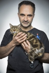 Stream The Supervet Movies in HD Free on MoviesJoy