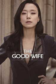 Stream The Good Wife Movies in HD Free on MoviesJoy